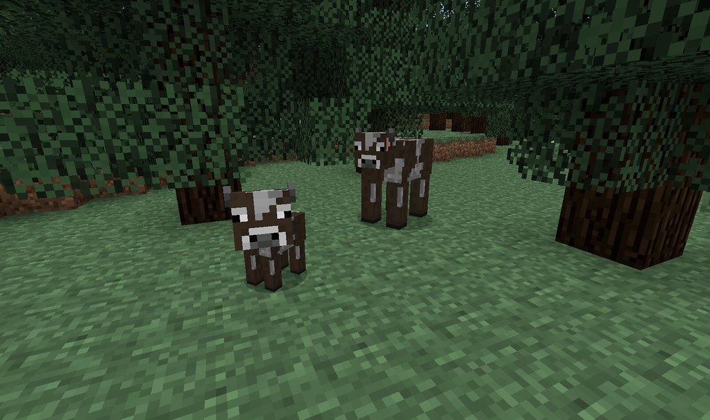 How to Breed cows in Minecraft?