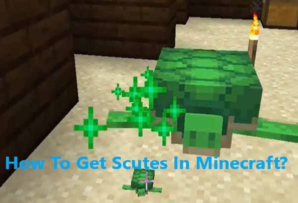 A Comprehensive Guide About What Is Scutes In Minecraft? And How To Get Scutes In Minecraft?