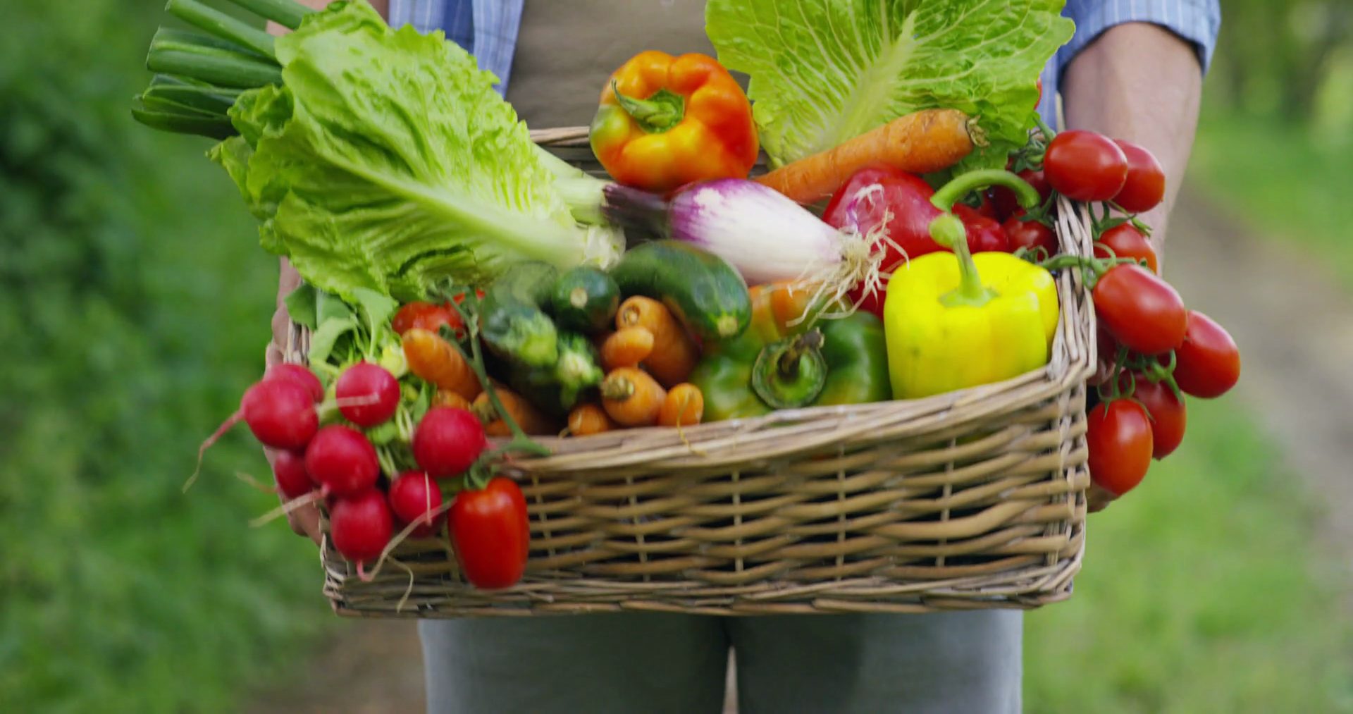 Fresh Vegetable Exporters Company in India