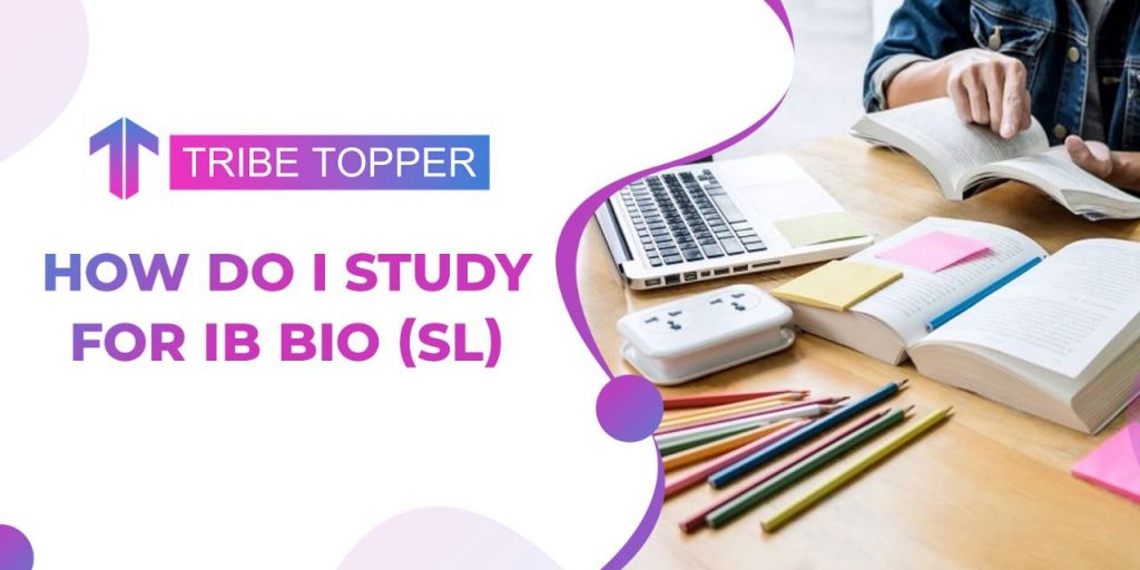 How do I study for IB Bio SL