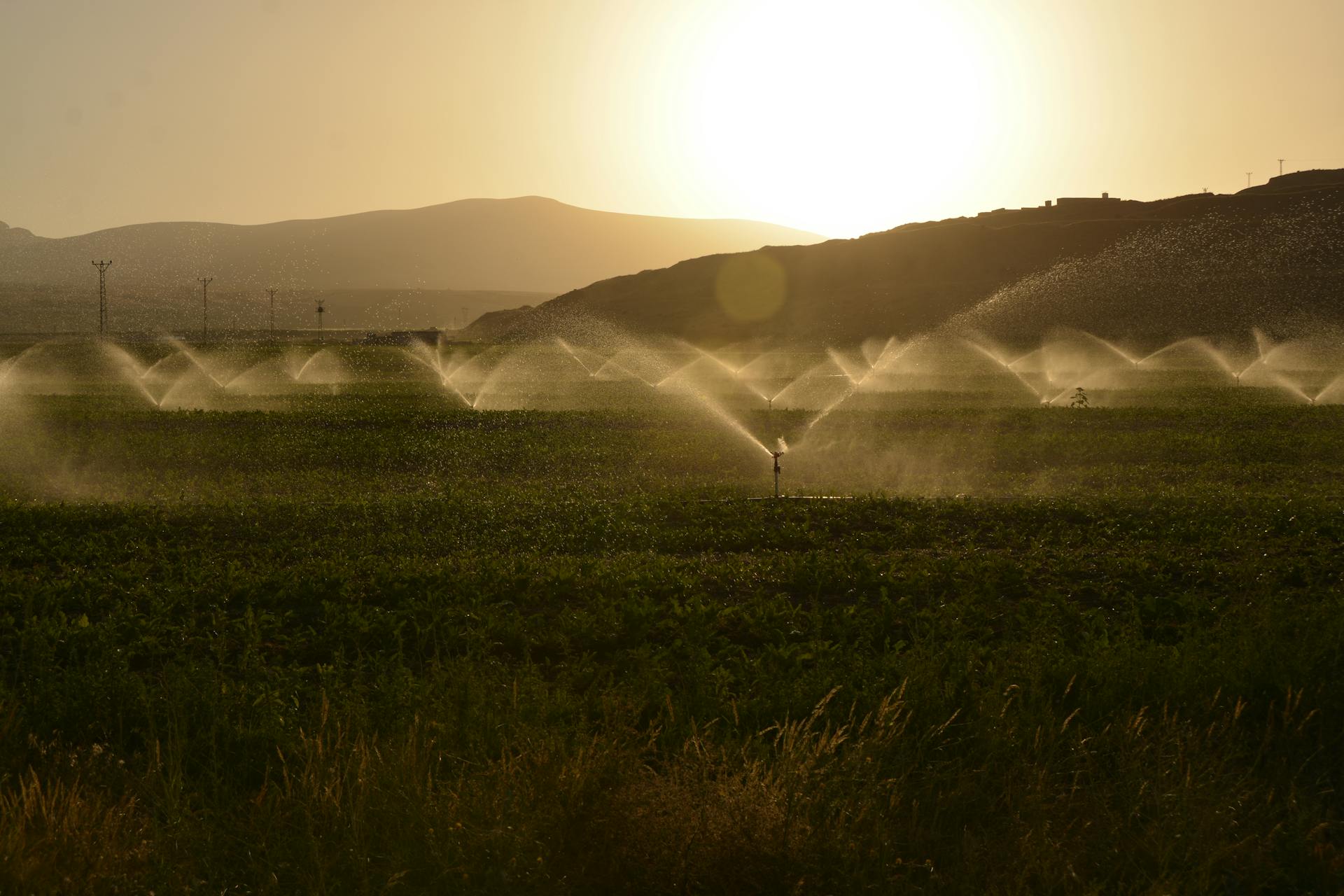 Landscape Irrigation Services