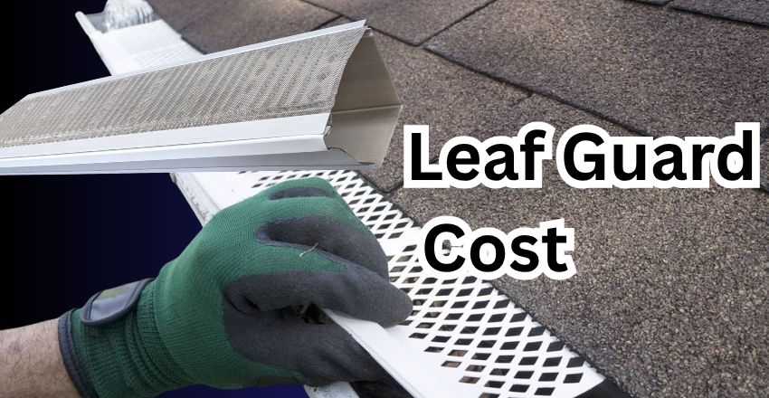 Leaf Guard Cost