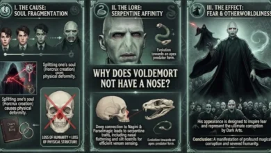 Why Does Voldemort Not Have a Nose